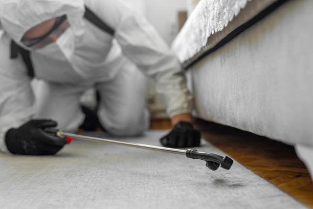 Professional Cockroach Control technician working in Coalinga, CA