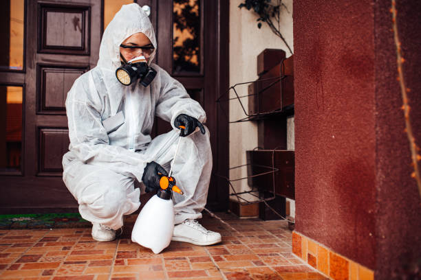 Reliable Cockroach Control contractor in Coalinga, CA by Nex Pest Control